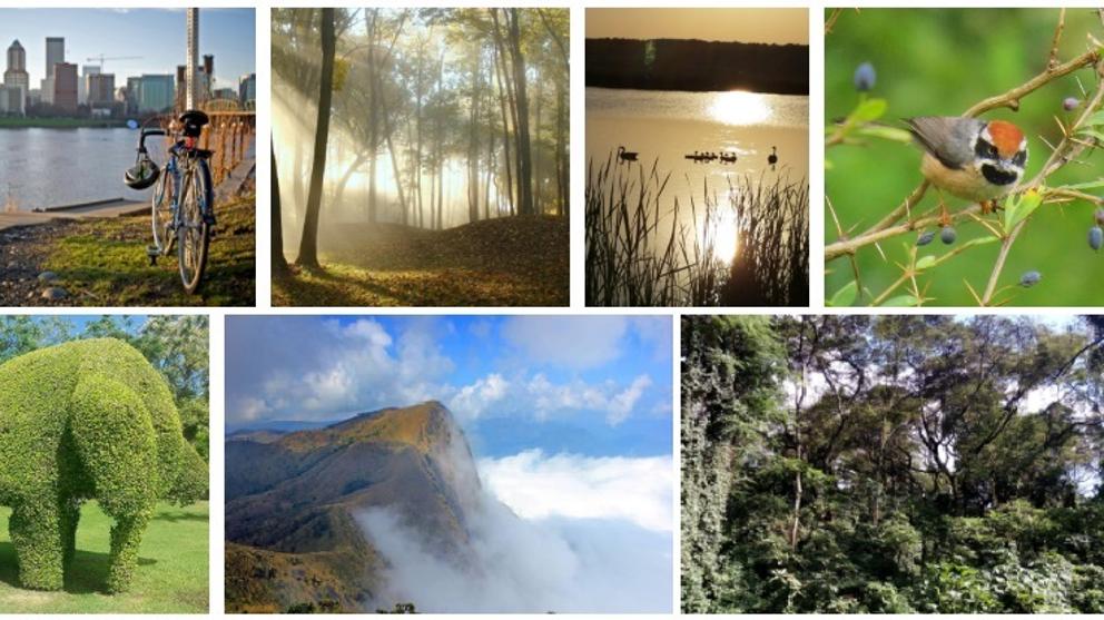 El Día Mundial del Medio Ambiente hace frente al efecto Trump