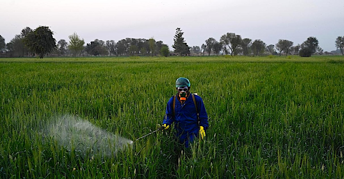 Cultivos sanos y bioseguridad vegetal, para proteger la alimentación en Bogotá y municipios vecinos