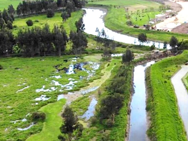 El Tribunal Administrativo de Cundinamarca mantiene “freno de mano” sobre la Troncal de los Andes